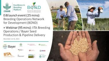 Embedded thumbnail for BOND Launch + Webinar: IITA Breeding Operations / Bayer Seed Processing
