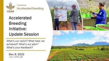 Embedded thumbnail for Accelerated Breeding Initiative: Update Session