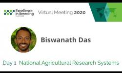 Embedded thumbnail for NARS (National Agricultural Research Systems) breakout session, Day 1. (EiB Virtual Meeting 2020)