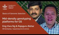 Embedded thumbnail for Basics of Genomic Selection 5. Mid-density Genotyping