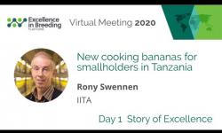 Embedded thumbnail for New cooking bananas for smallholder farmers in Tanzania (EiB Story of Excellence/IITA)