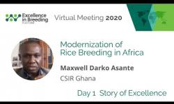 Embedded thumbnail for Towards a suitable rice variety for Ghana&amp;#039;s irrigated and rainfed lowlands (EiB Story of Excellence)