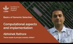Embedded thumbnail for Basics of Genomic Selection 9. Computational Aspects and Implementation