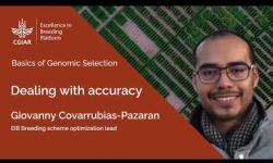 Embedded thumbnail for Basics of Genomic Selection 3. Dealing with Accuracy