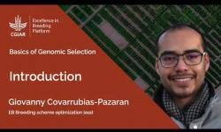 Embedded thumbnail for Basics of Genomic Selection 1. Introduction