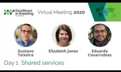 Embedded thumbnail for Shared services (EiB Virtual Meeting 2020)