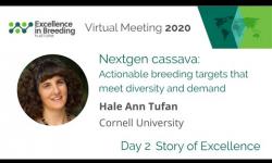 Embedded thumbnail for Nextgen cassava: Actionable breeding targets that meet diversity and demand