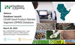 Embedded thumbnail for  Home  News &amp;amp; Events  Events Launch: CGIAR Seed Product Market Segment (SPMS) Database