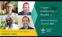 Embedded thumbnail for  Regional Sessions Americas / Africa. EiB Virtual Meeting 2021 Day 2