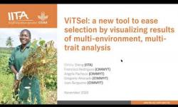 Embedded thumbnail for ViTSel: A new decision support tool to facilitate selection in breeding