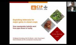 Embedded thumbnail for Exploiting heterosis for major clonal crop gains: sweetpotato hybrids go from pipe dream to reality