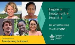 Embedded thumbnail for Transforming for impact. EiB Virtual Meeting 2021 Day 3