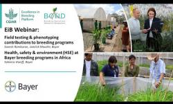 Embedded thumbnail for Bayer’s field testing &amp;amp; phenotyping / HSE in Africa