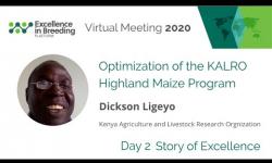 Embedded thumbnail for Optimization of the KALRO Highland Maize Program (Story of Excellence)