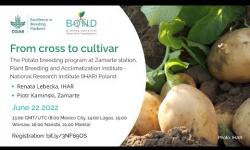 Embedded thumbnail for The potato breeding program at Zamarte, Poland