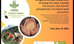 Embedded thumbnail for Knowing the seed, trusting the source: How farmer perspectives can boost seed promotion