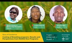 Embedded thumbnail for Costing of breeding programs: Results and perspectives from NARES Rice Programs