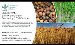 Embedded thumbnail for Low Density SNP Genotyping Services: An EiB Launch Event