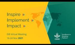 Embedded thumbnail for EiB Virtual Meeting 2021 - Day 1