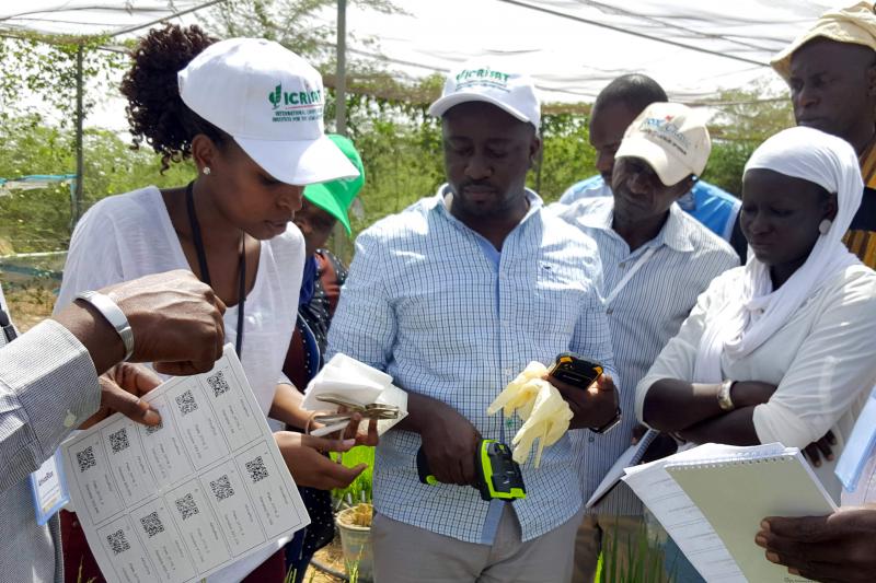 Participants at a workshop in Senegal learn about barcoding procedures