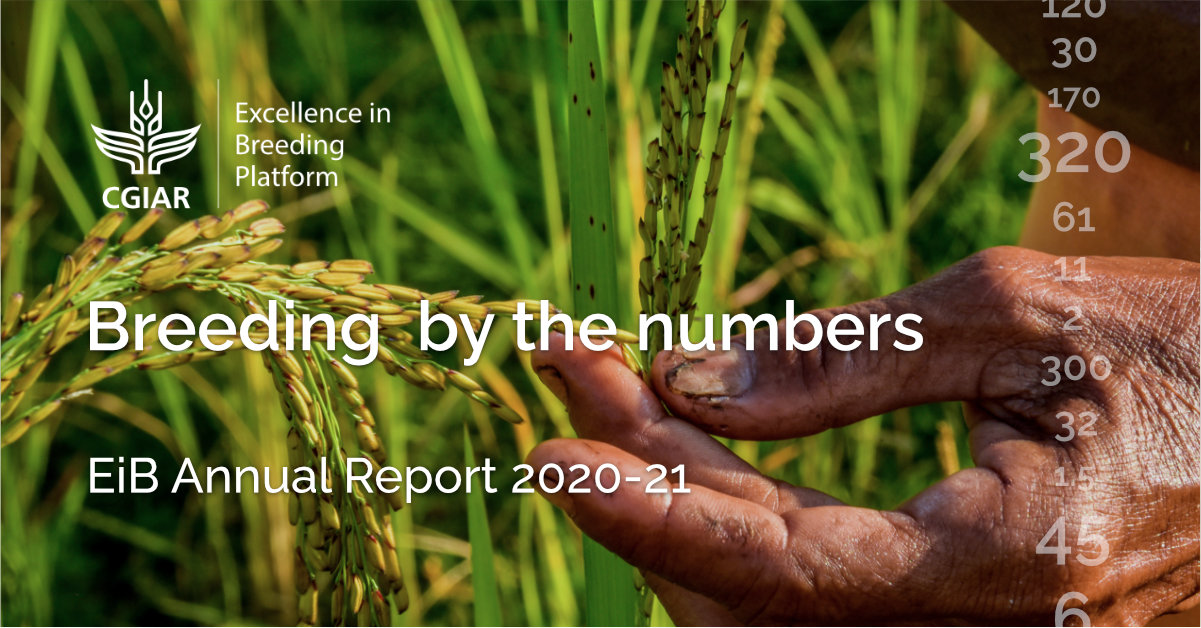 EiB Annual Report 2020-21